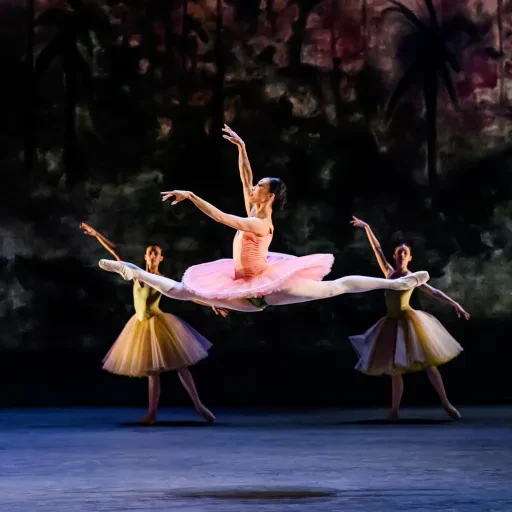 Dansare fran baletten Le Corsaire